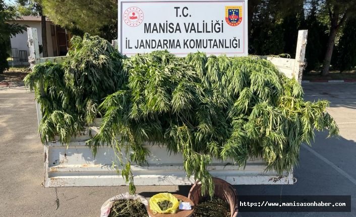 Jandarmadan nokta atışı! Kenevir ve kubar esrar ele geçirildi