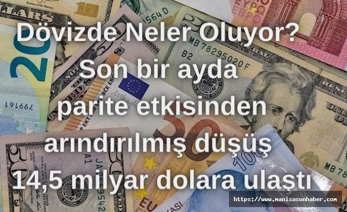 Dövizde Neler Oluyor? Son bir ayda parite etkisinden arındırılmış düşüş 14,5 milyar dolara ulaştı