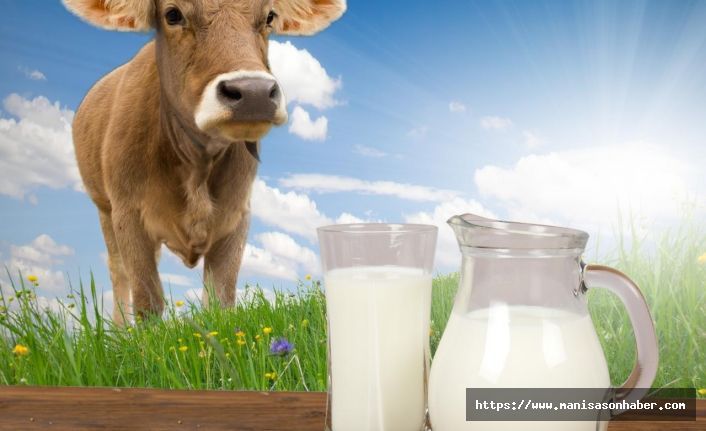 Ticari süt işletmelerince 725 bin 868 ton inek sütü toplandı