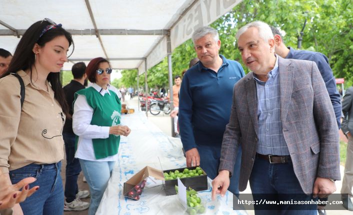 Turgutlu’da Dumanlı Papaz Erik Hasadı “En Güzel Erik Yarışması” Yapıldı
