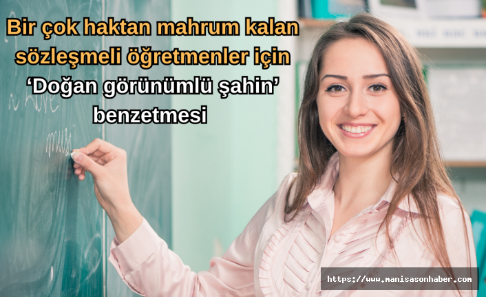 Bir çok haktan mahrum kalan sözleşmeli öğretmenler için ‘Doğan görünümlü şahin’ benzetmesi