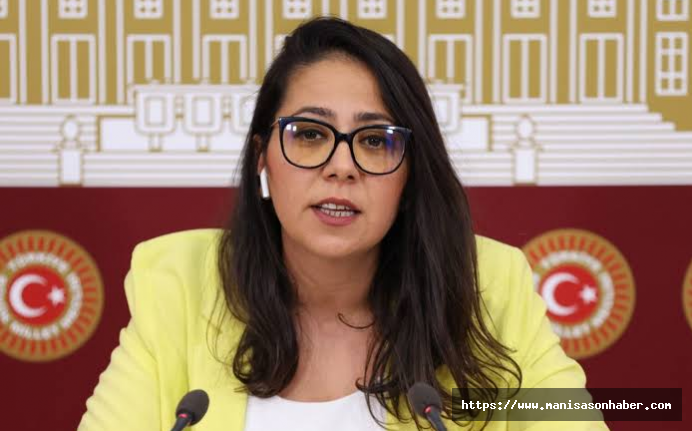 Sera Kadıgil: Anayasası fiilen askıya alınmış ülkenin meclisinde utanmadan adalet konuşuyoruz