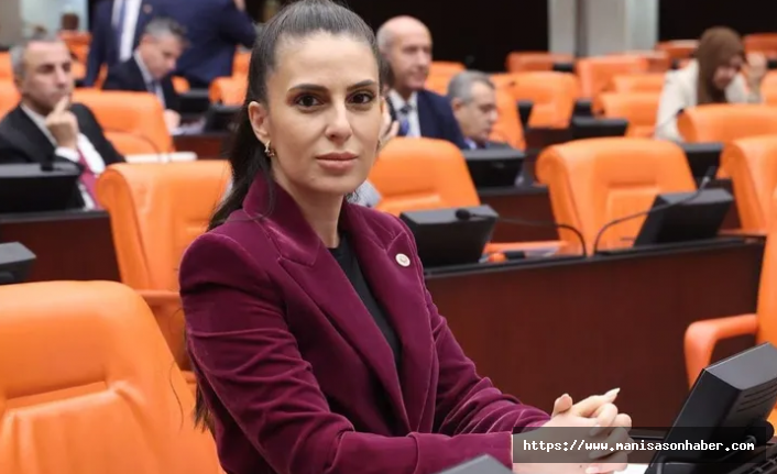 Bodrum Turgutreis'teki Sahil Güvenlik limanı inşaatına tepki TBMM'ye taşındı