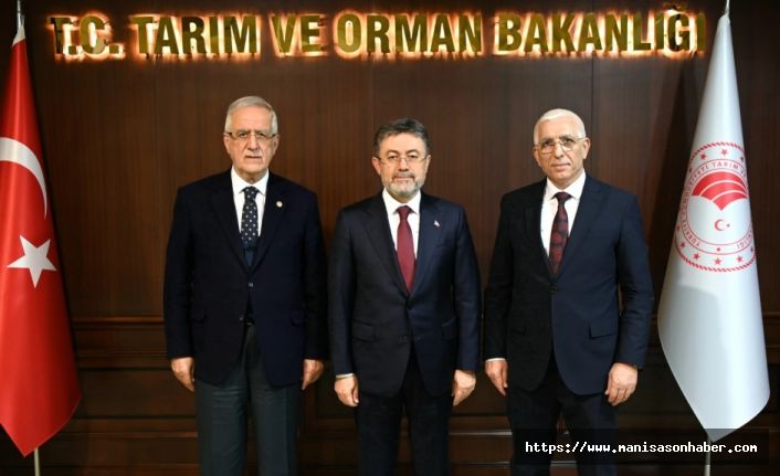 Marmarabirlik: Dane zeytine prim desteği kaldırılmamalı! Bakan Yumaklı'ya rapor sunuldu