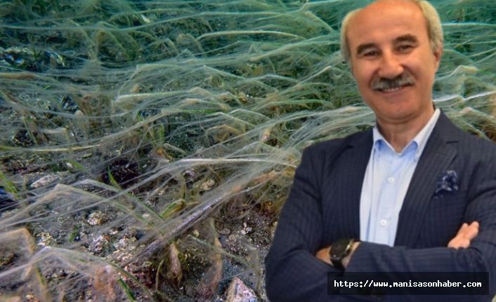 Türkiye gündemi değişse de Marmara'da gündem aynı! 4 aydır Marmara'nın gündemi müsilaj
