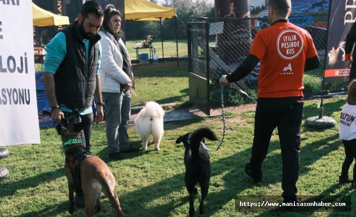 Türkiye’de ilk kez Köpekli Labirent Oryantiring yarışması yapıldı