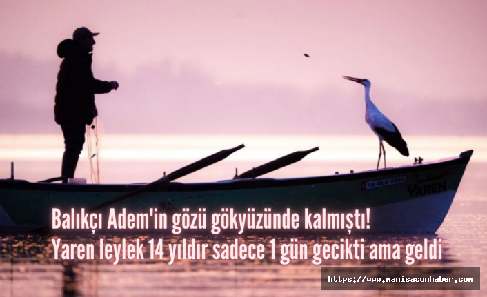 Balıkçı Adem'in gözü gökyüzünde kalmıştı! Yaren leylek 14 yıldır sadece 1 gün gecikti ama geldi