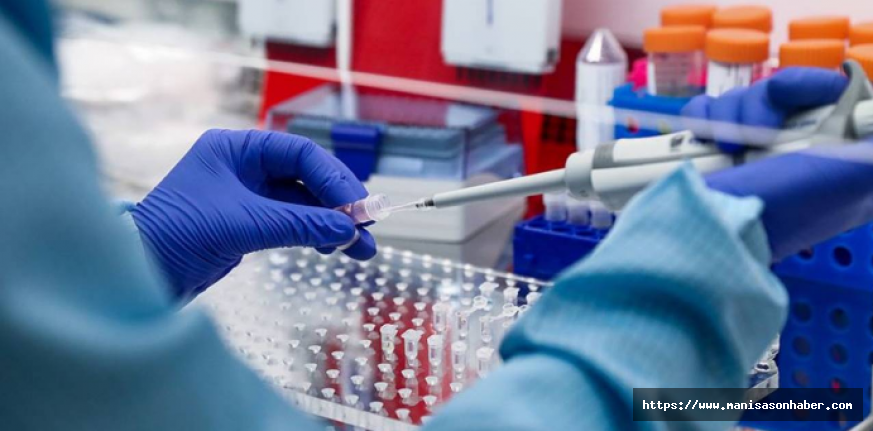 DNA Testiyle Ortaya Çıkan Dehşet Verici Gerçek! Evli Çiftin Kardeş Olduğu Ortaya Çıktı