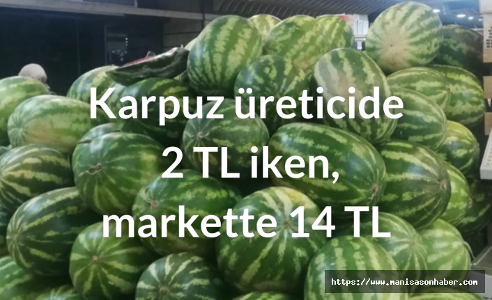 Karpuz üreticide 2 TL iken, markette 14 TL