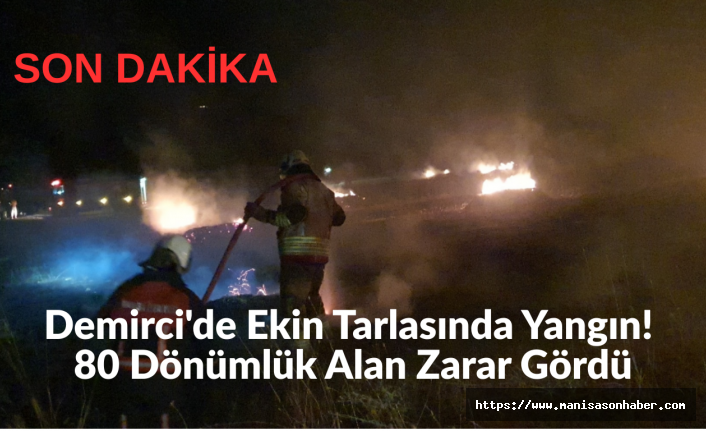 SON DAKİKA! Demirci'de Ekin Tarlasında Yangın! 80 Dönümlük Alan Zarar Gördü