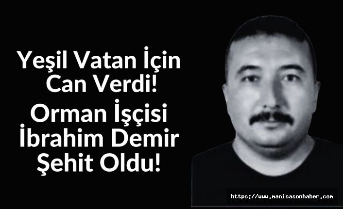Yeşil Vatan İçin Can Verdi: Orman İşçisi İbrahim Demir Şehit Oldu!