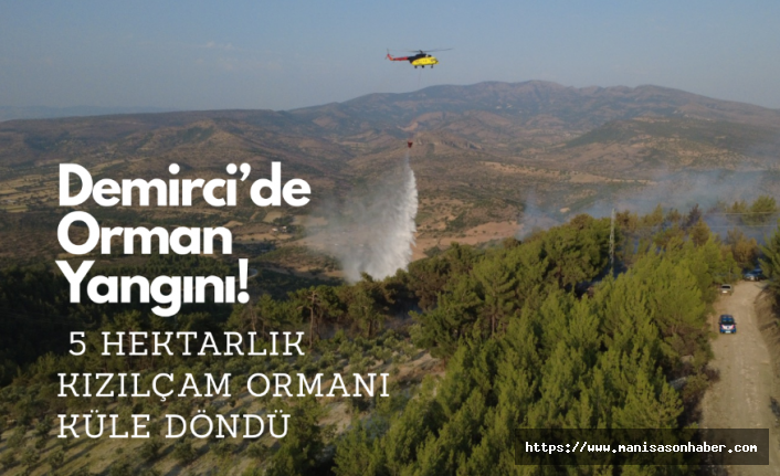 Demirci’de Orman Yangını! 5 Hektarlık Kızılçam Ormanı Küle Döndü