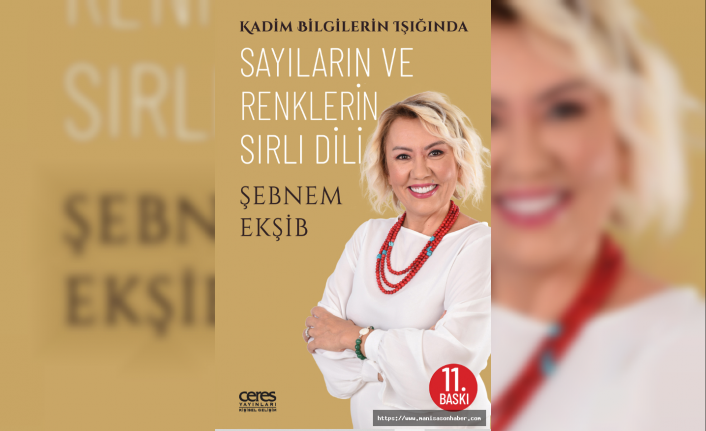 Sayılar ve Renkler Davranışlarımızı Nasıl Yönlendiriyor?
