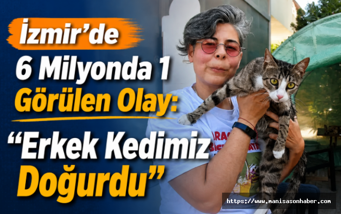 İzmir’de 6 Milyonda 1 Görülen Olay: ‘Erkek Kedimiz Doğurdu’