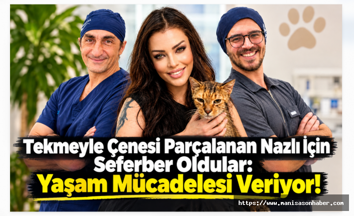 Tekmeyle Çenesi Parçalanan Nazlı İçin Seferber Oldular: Yaşam Mücadelesi Veriyor!
