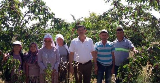 Demirci 0900 Kirazı Markası Kalitesiyle  Piyasayı Yerinden Oynattı