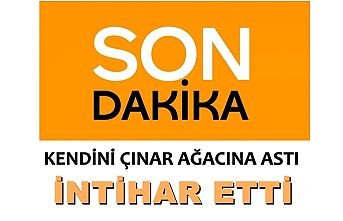 Kendini Çınar Ağacına Asarak İntihar Etti
