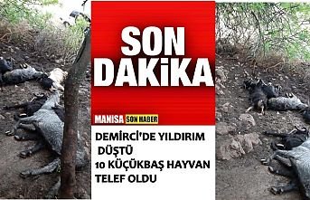 Yıldırım düştü 10 hayvan telef oldu