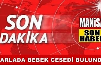 Tarlada Bebek Cesedi Bulundu
