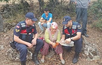 Demircili kayıp kadını Jandarma buldu