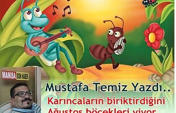 Karıncaların biriktirdiğini Ağustos böcekleri yiyor