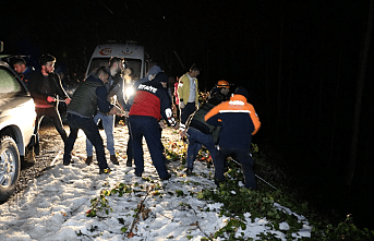 Üniversitelileri taşıyan otomobil  40 metrelik uçuruma yuvarlandı