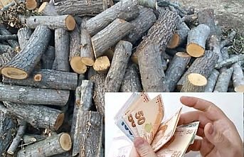 Yaşlı Kadını Dolandırıp Kaçtılar
