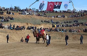Turgutlu Belediyesi Geleneksel Deve Güreşlerine Hazırlanıyor