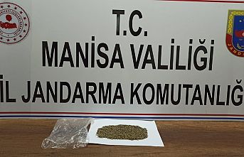 Jandarma Operasyonu! 20 gram Bonzai ele geçirildi