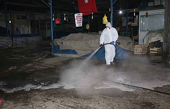 Termal Suyla Koronavirüs Temizliği