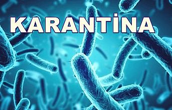 Bir Apartman Daha Karantinaya Alındı