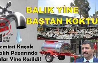 Demirci Kaçak Balık Pazarında Sular Yine Kesildi!