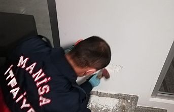 Duvardan Kedi Kurtarıldı