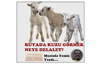 Rüyada Kuzu Görmek Neye Delalet?
