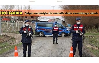 Son Dakika! Koronavirüs tehlikesi  o mahallede karantina kararı aldırdı