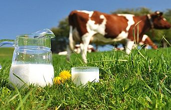 Süt arttı, ayran azaldı