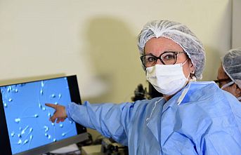 Sperm hücreleri 8 bin, yumurta hücreleri bin 400 kez büyütülebilecek