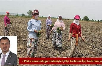 J Plaka Zorunluluğu Nedeniyle Çiftçi Tarlasına İşçi Götüremiyor