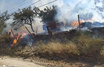 Orman yangını evleri de yaktı, mahallelerde halk ve hayvanlar tahliye ediliyor
