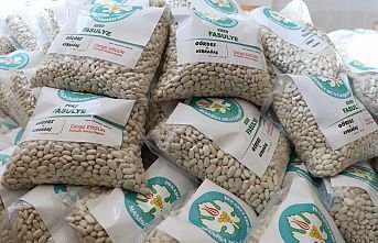 Büyükşehirden Üreticiye Büyük Destek