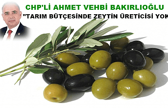 Tarım Bütçesinde Zeytin Üreticisi Yok