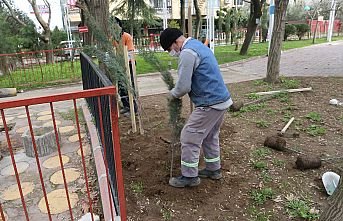 Turgutlu Belediyesinden Mimar Sinan Parkında Ağaçlandırma Çalışması