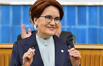 Akşener’den “askıda mama” önerisi