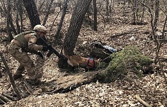 Terörle mücadelede ilkbahar yaz operasyonları başladı