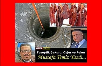 Foseptik Çukuru, Ciğer ve Peker