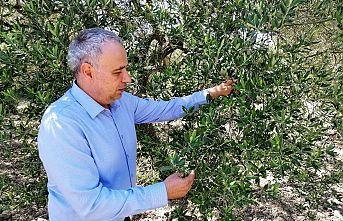 Zirai İlaç Atıkları Tehlike Saçıyor