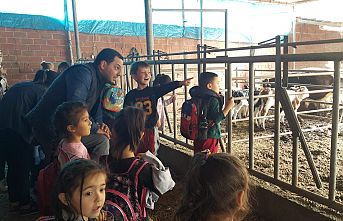 Pazar, Bayram Ve Kurban