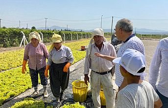 Bakırlıoğlu, sezonun açılmasına rağmen çekirdeksiz kuru üzüm fiyatının hala açıklanmamasına tepki gösterdi