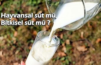 Hayvansal süt mü, Bitkisel süt mü?