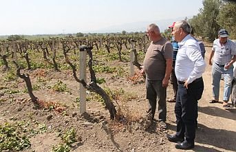 Kuru Üzüme En Az 2 Lira Prim Verilsin